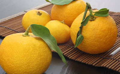 Yuzu peel essential oil